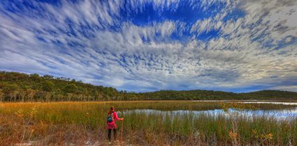 Walking by Boomerang Lake - Fraser Island - QLD T (PB5D 00 51A1888)